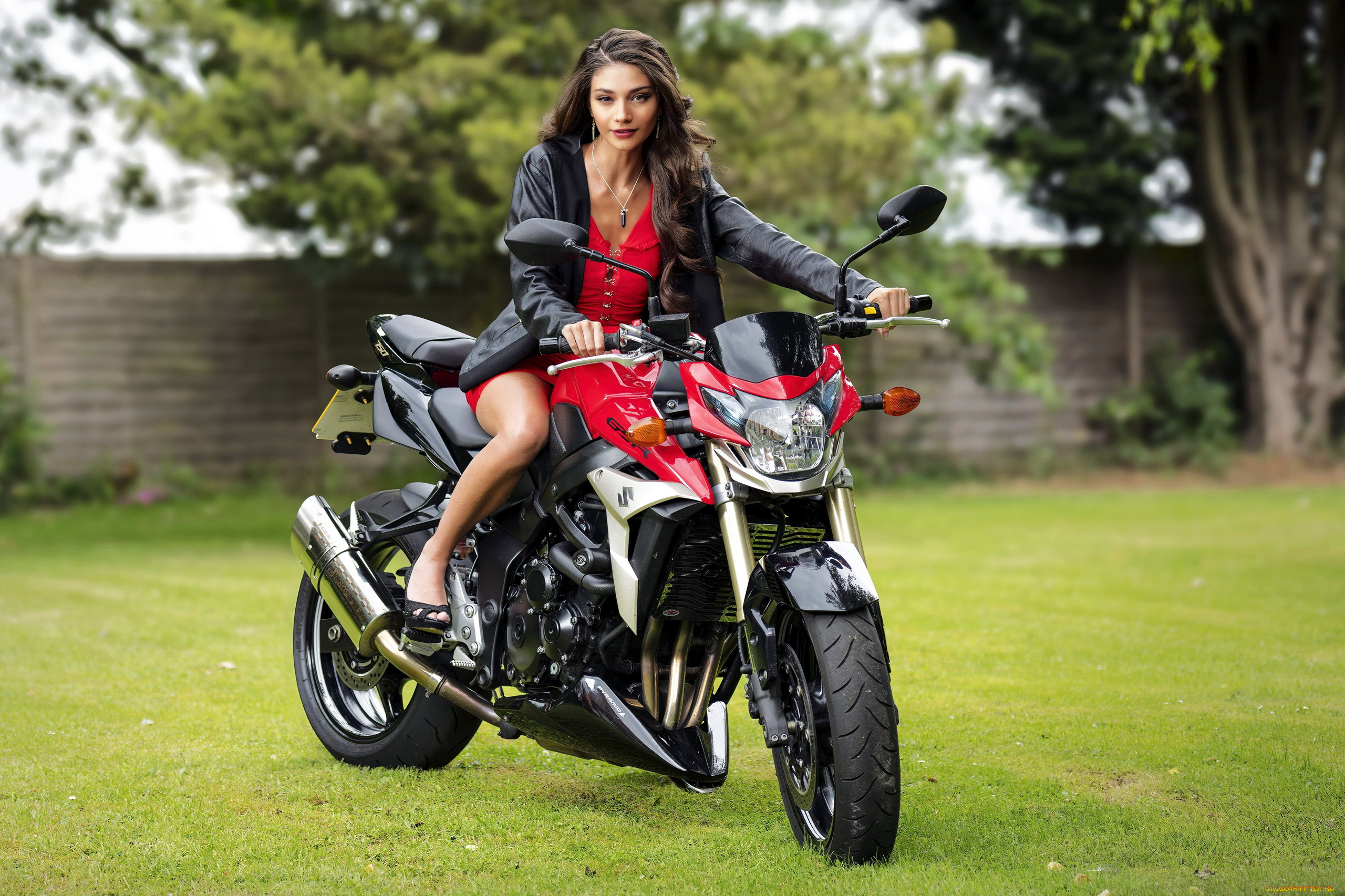 ,   , suzuki